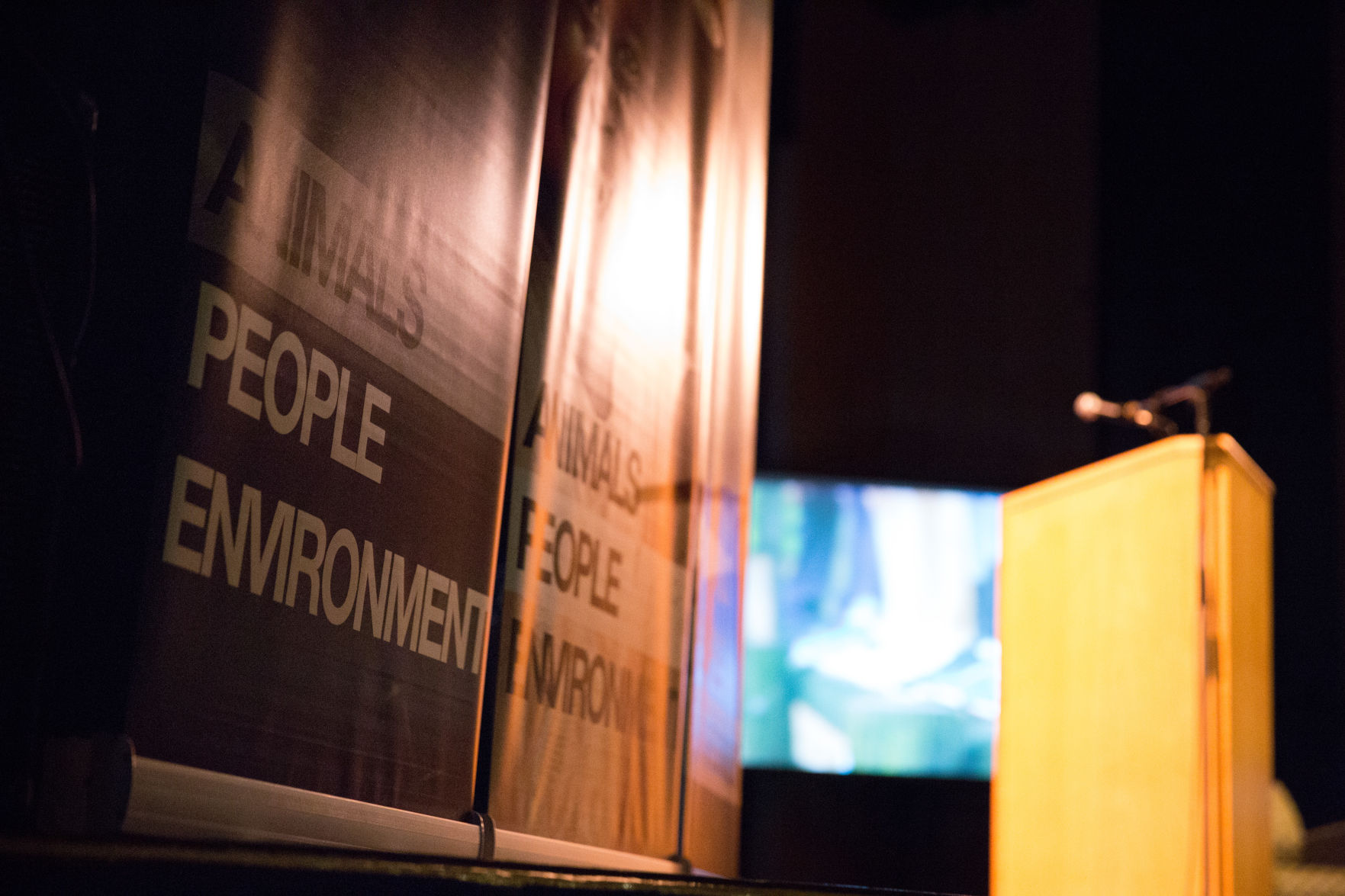 Jane Goodall in London (Photo 2)